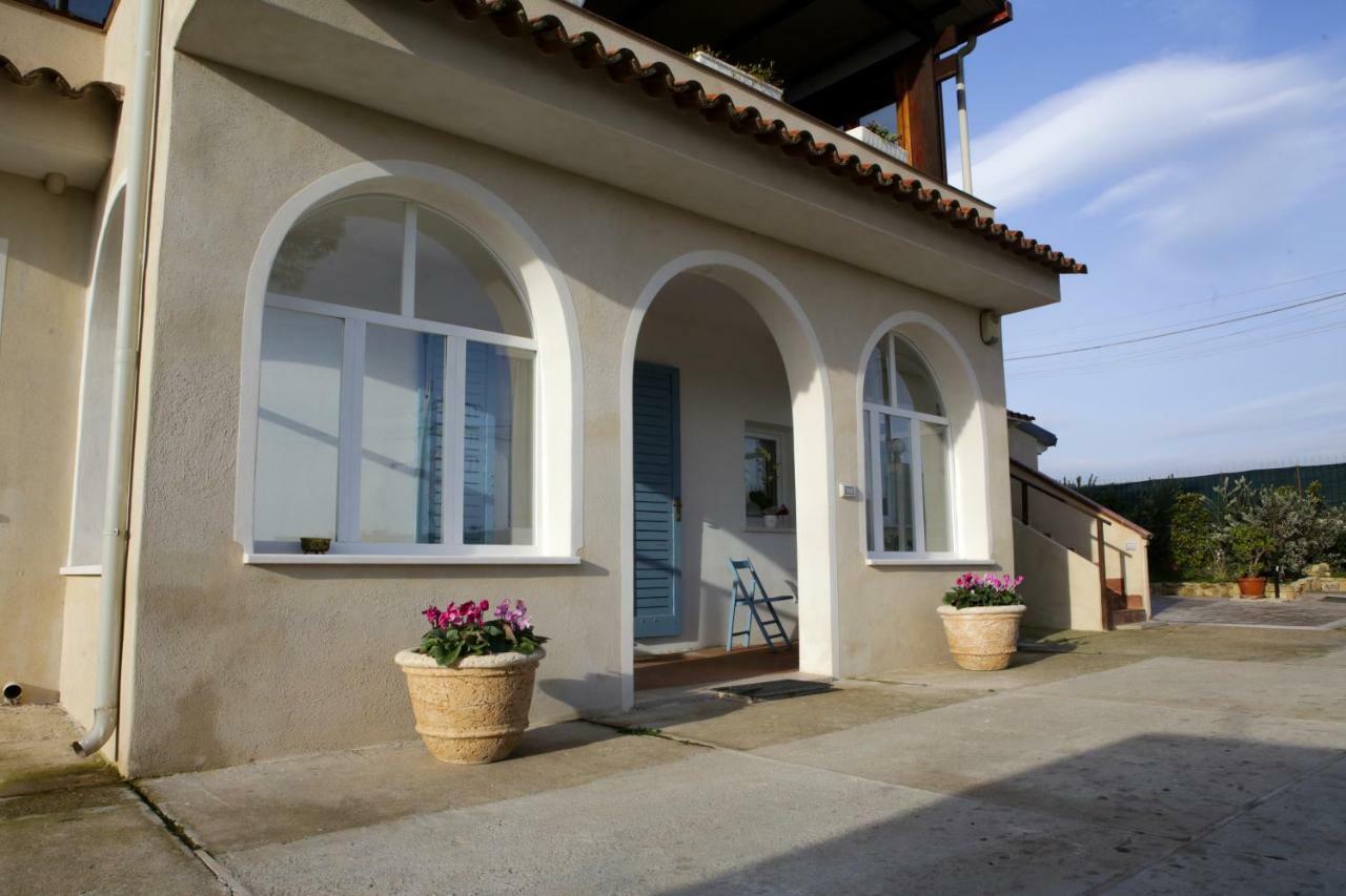 Avion B&B Elmas Extérieur photo